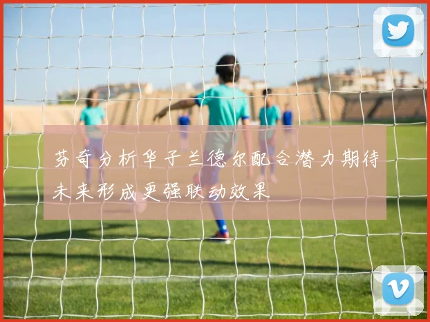 芬奇分析华子兰德尔配合潜力期待未来形成更强联动效果