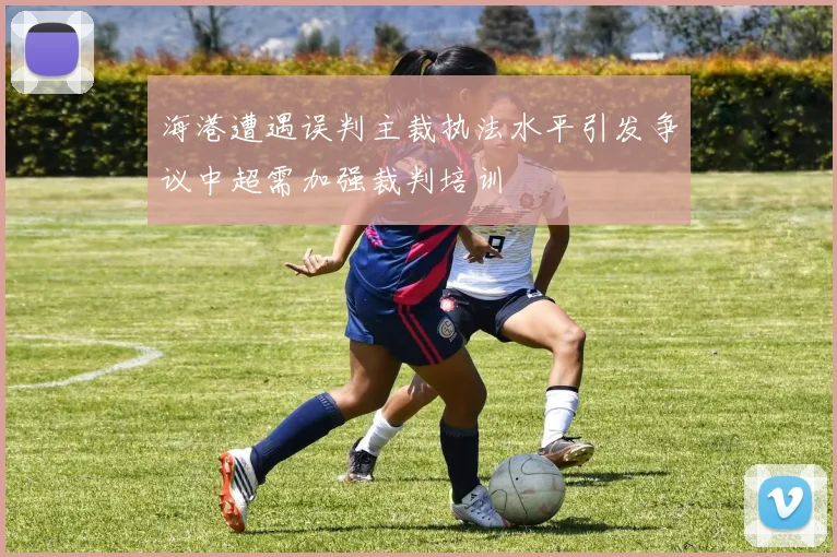 海港遭遇误判主裁执法水平引发争议中超需加强裁判培训