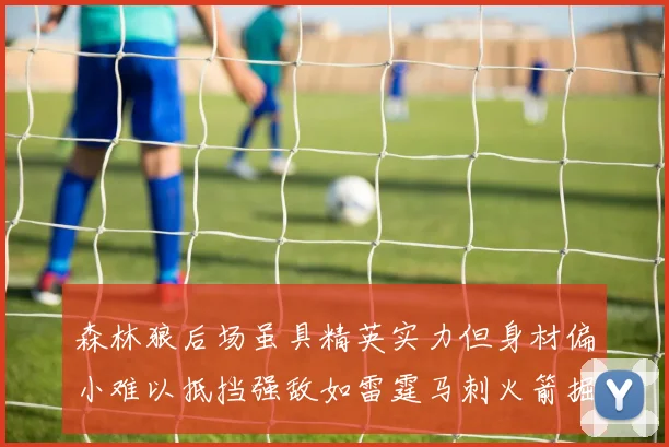 森林狼后场虽具精英实力但身材偏小难以抵挡强敌如雷霆马刺火箭掘金